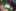 DI 28.07.2026