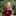 IMG 8393-1687x1686