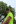 DO 17.07.2025, Schongau