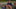 Tag 4 - Suche nach Pete&nbsp;