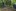 2019-10_Sagenwald 