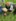 WhatsApp Imagee 2025-07-13 at 14.25.32