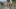 Tag 4 - Suche nach Pete&nbsp;