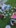 IMG-20260706-WA0284