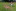 Sommerlager 2024