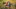 Tag 4 - Suche nach Pete&nbsp;