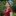 IMG 8352-1807x1807