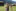 Sommerlager 2026