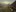 2025-01_Wir sind die Elks