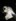 2025-03_Fackelabend