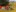 Sommerlager