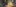 2020-02_Schoggibanane