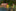 Sommerlager 2019