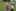 Sommerlager 2026
