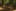 Jublatag 2026