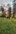 2020-10_Schinterwald