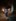2025-03_Fackelabend