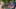 Tag 4 - Suche nach Pete&nbsp;