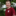 Phil-1902x1905