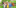 IMG 1312-2048x1029