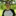 IMG 6425-3136x3134