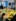 a8dd7b79-4b5c-4183-86ac-4e8e9a518c26