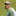 IMG 1653-3812x3812