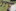 IMG 7751