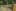 Sommerlager 2019
