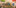 Leitungsteam