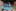 Leitungsteam