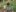 2024-09_Schnurgame