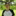 IMG 6425-3312x3310