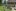 Sommerlager 2020