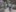 2024-05_Fotogame