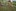 Sommerlager 2019