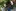 2018-06_Spielplatz Hasle 