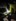 2025-03_Fackelabend