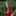 IMG 8353-1984x1984