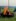 IMG-20260525-WA0008