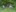 IMG-20260525-WA0040(1)
