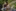 Bilder