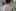 2020-02_Berliner 
