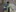 2025-03_Fackelabend