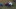Tag 4 - Suche nach Pete&nbsp;