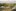 Jublasurium 250607 1956 DarwinHansen 0023 cut