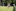 Bilder