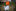 Sommerlager 2019