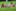 Sommerlager 2024