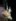 2025-03_Fackelabend